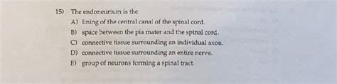 Solved 15) The endoneurium is the A) lining of the central | Chegg.com