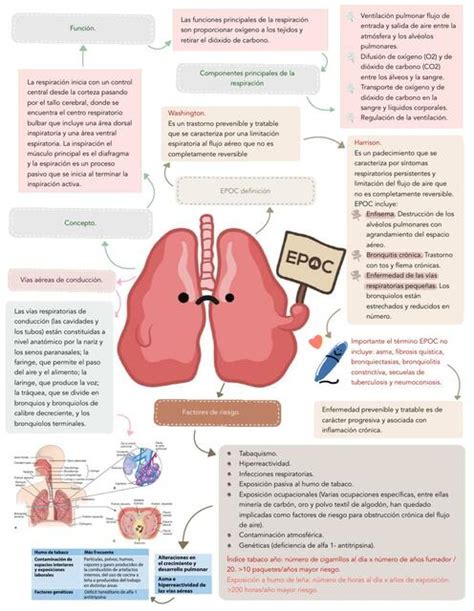 Enfermedad Pulmonar Obstructiva Cr Nica Apuntes De Medicina Udocz