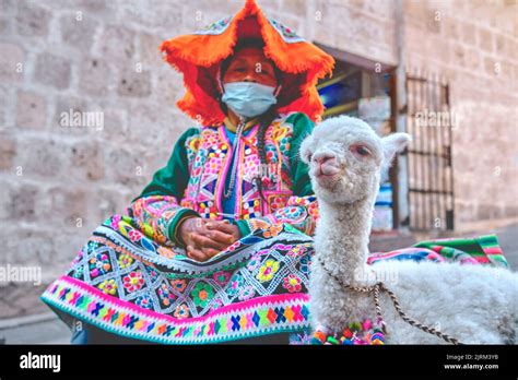 Peruvian Woman In Traditional Clothes Holding A Baby Llama In Street