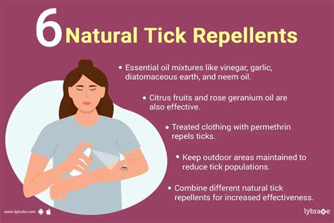 Natural Tick Repellents By Dr Swathi Tn Lybrate