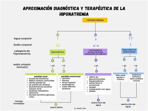 Esquema aproximación diagnóstica y terapéutica de la hiponatremia Yen