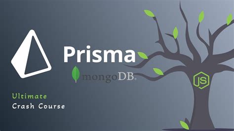 The Ultimate Prisma Guide Unleashing Mongodb And Node Js Magic