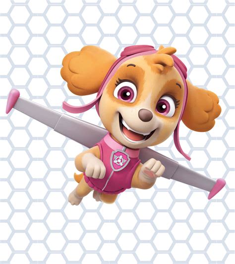 100 Skye Paw Patrol Wallpapers