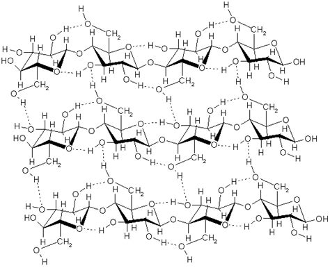 The Structure Of Wood I