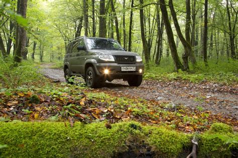 Курортная Гагра и озеро Рица © цена и отзывы 2023 года • Travel Mania