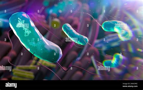 Rna Obelisks In Gut Bacteria Illustration Stock Photo Alamy