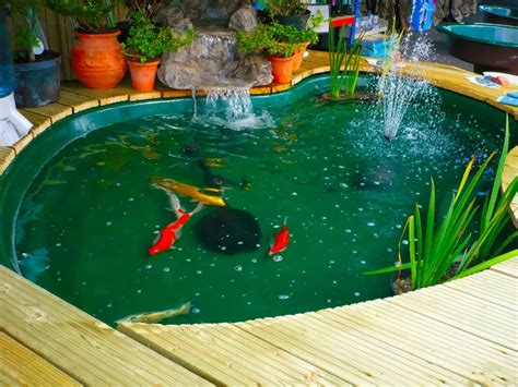 Desain Membuat Kolam Ikan Minimalis Gambar Rumah Idaman