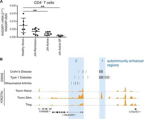 RASGRP1 Levels And Expression Regulation Are Associated With Human