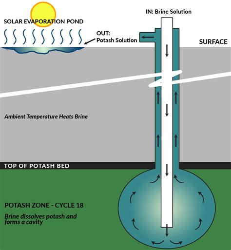 Home Sage Potash