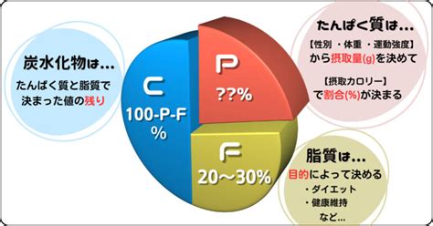 【ダイエット中の女性必見】理想のpfcバランスの計算方法【専門家のよくわかる解説】 ふじょんの美じょん