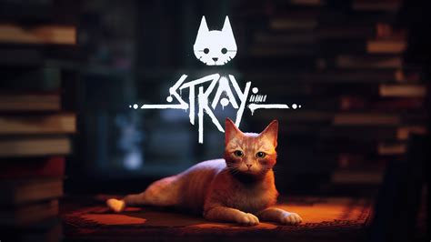 Stray Videojuego Fondo De Pantalla 4k Id11038