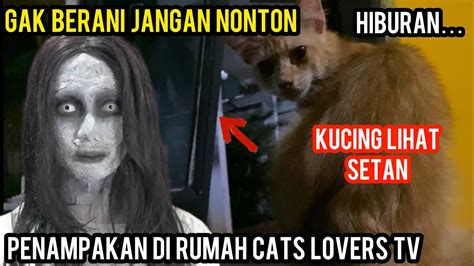 Ada Penampakan Di Basecamp Cats Lovers Tv Awas Hati Hati YouTube