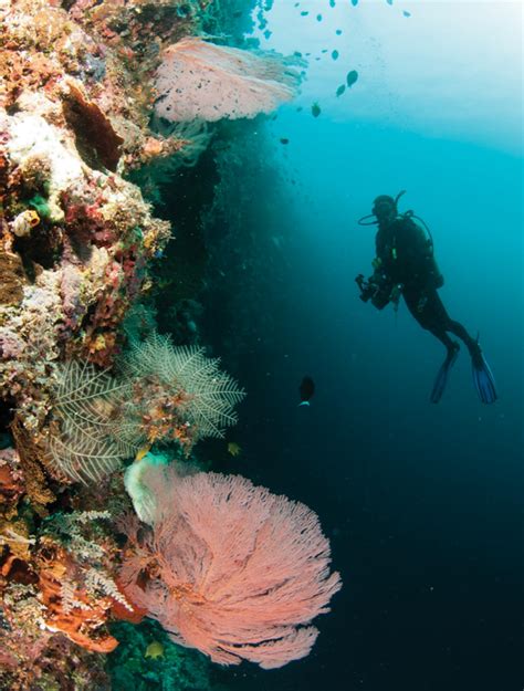 Surga Bawah Laut Spermonde Di Kapoposang Ourislands Id