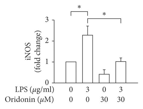 Oridonin Attenuated Lps Induced Inos Cox 2 A Sma And Ctgf