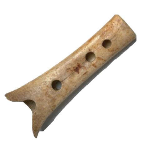 Neanderthal flute | Neanderthal, Prehistory, Extinction