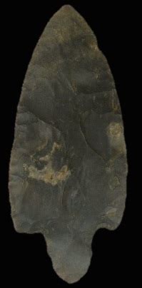 Cobden Chert