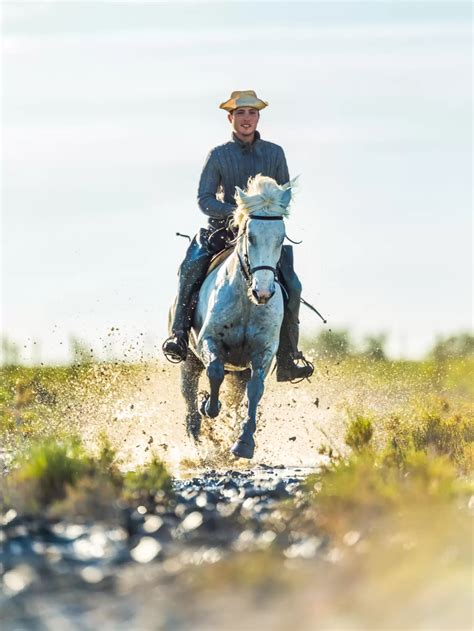 Visiting The Camargue French Countryside Is A Living Romance Novel