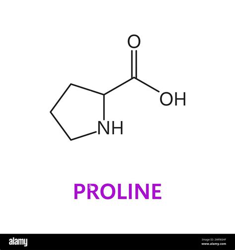 Amino acid chemical molecule of Proline, molecular formula and chain ...