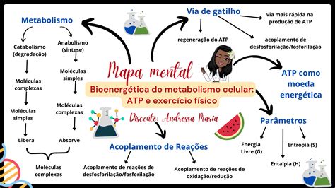 Bioquimica Mapa Mental Bioqu Mica Metab Lica