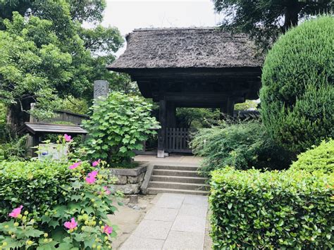 極楽寺の参詣記 歴史や見どころは？（神奈川県鎌倉市）北条義時の三男重時ゆかりの寺 時代小説県