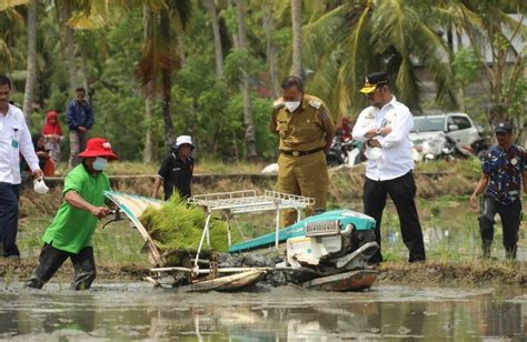 Kementan Dorong Upaya Memperlambat Konversi Lahan Pertanian Kilas