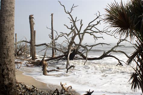 Botany Bay - Edisto Island, South Carolina