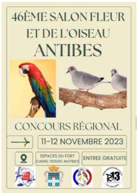 46e Salon De L Oiseau D Antibes Antibes 6 11 12 Novembre 2023