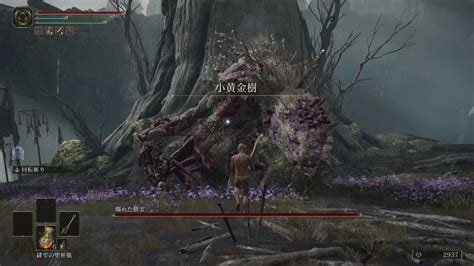 【elden Ring（エルデンリング）】爛れた樹霊｜ボスの居場所と特徴などをご紹介【攻略】 Gamespokesman