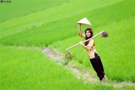 Hot girl xinh đẹp hóa thôn nữ xuống ruộng đi cấy