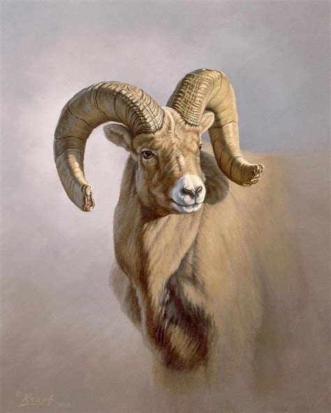 Sheep Paintings Sheep Art Animal Paintings