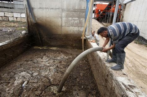 Producing Electricity Using Cow Dung Weekspost