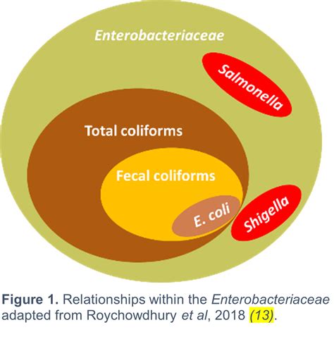 Microbiological Indicator Testing Overview Considerations And Faq Eurofins Usa