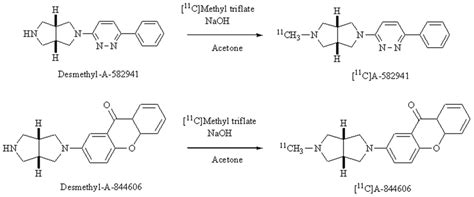 Radiosynthesis Of 11c A 582941 And 11c A 844606 Download