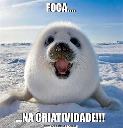 Foca Na Criatividade Gerador De Memes Online Animais