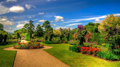 Beautiful Garden Scenery Nature Colorful Flowers Green Grass Field