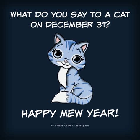 What do you say to a cat on December 31? Happy Mew Year! #newyearspuns ...