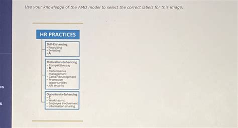 Solved Use Your Knowledge Of The AMO Model To Select The Chegg