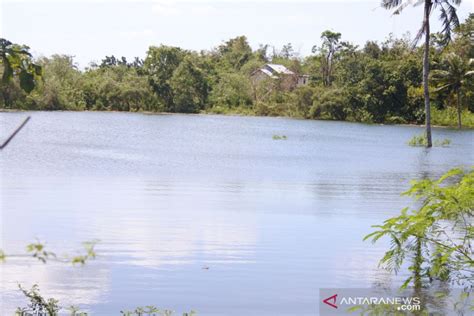 Tim Peneliti Selidiki Danau Baru Yang Terbentuk Di Kota Kupang Antara