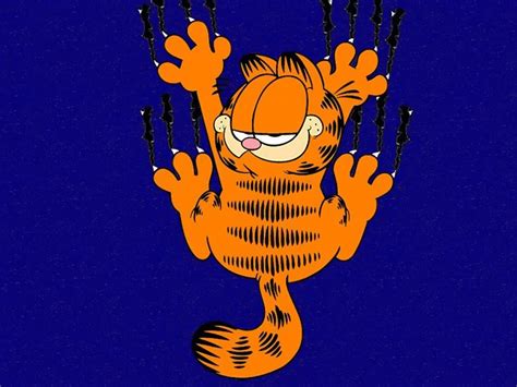 Garfield Papel De Parede And Planos De Fundo 1440x1080 ID 467715