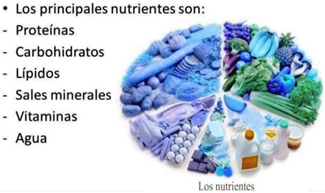 SOLVED Analiza críticamente la siguiente imagen Los principales