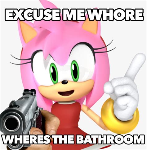 Amy Rose 🦔💕 Amy Rose Rosé Memes Sonic
