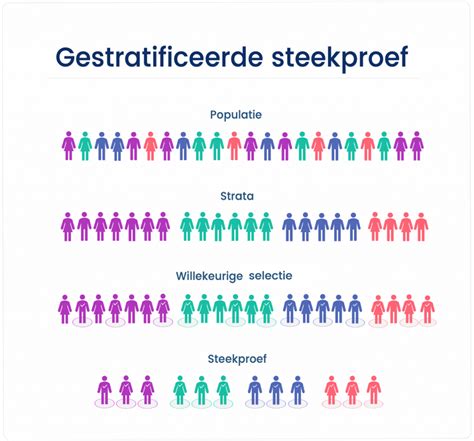 Verschillende Soorten Steekproeven Uitleg And Voorbeelden 24editor