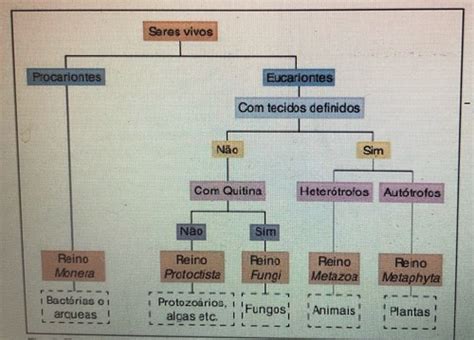 Seres Vivos Flashcards Quizlet