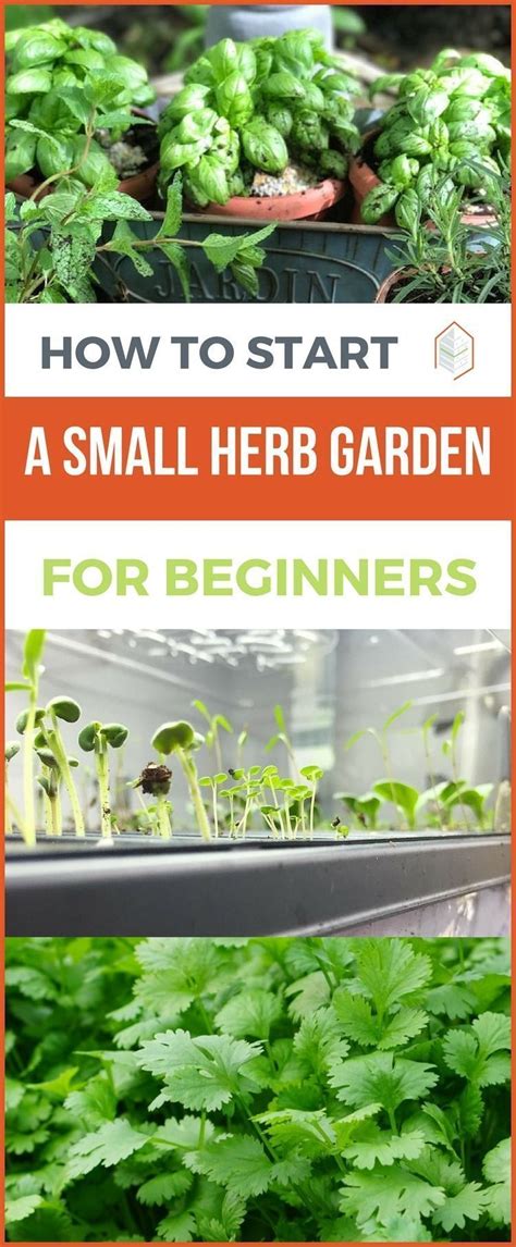 How To Start A Small Herb Garden For Beginners How To Start A Small