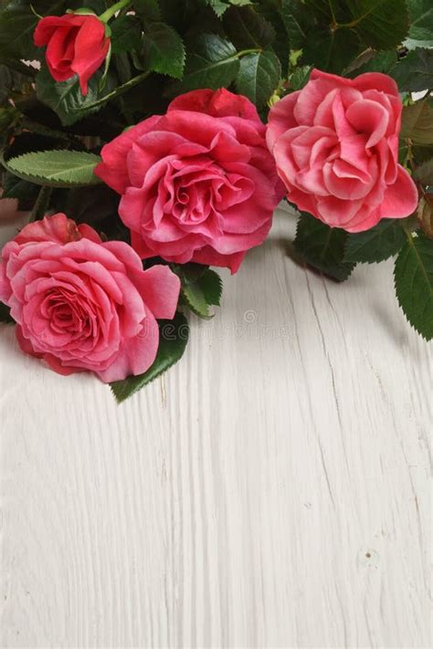 Background with Roses on White Wood Stock Image - Image of backdrop, anniversary: 166564909