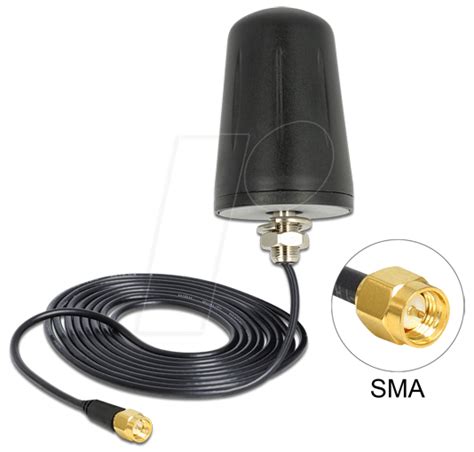 Delock Antenne Lora Outdoor Sma Stecker Goldbeschichtet M