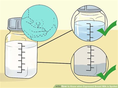 How To Know When Expressed Breast Milk Is Spoiled 9 Steps