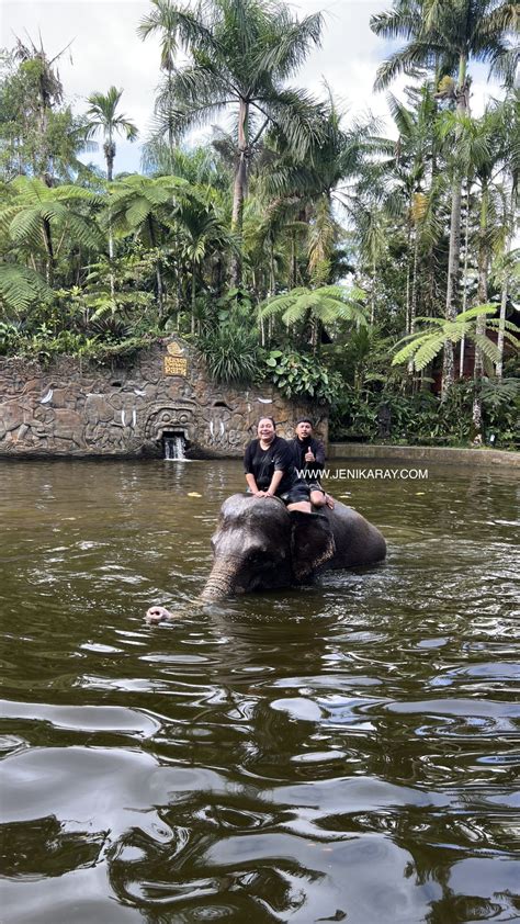 Mason Elephant Lodge Konservasi Gajah Sumatra Yang Menarik Hati