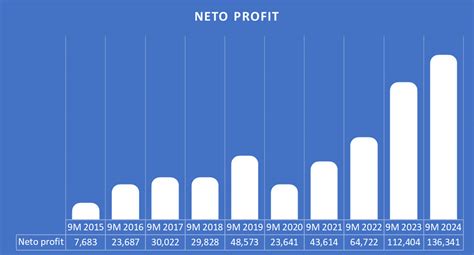 Analiza Poslovanja Banaka U Crnoj Gori Tokom 9 Mjeseci 2024 Godine