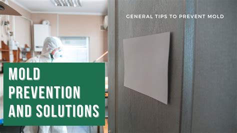 Mold Prevention And Solutions General Tips To Prevent Mold In Your Home